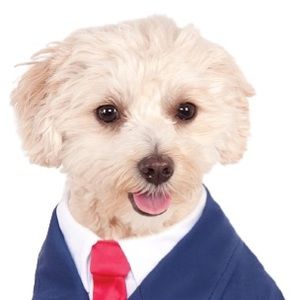 Meet your Posher, Pete